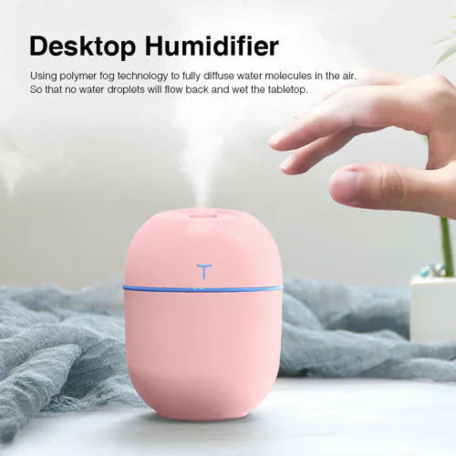 PORTABLE AIR HUMIDIFIER